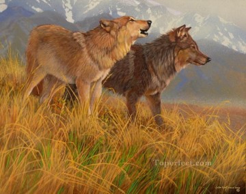 オオカミの色合い Oil Paintings